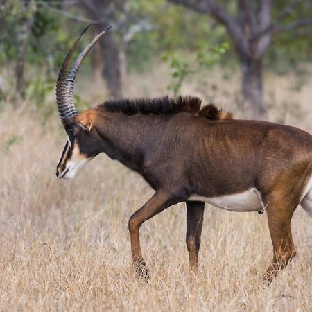 Abelana River Lodge بهالابوروا المظهر الخارجي الصورة
